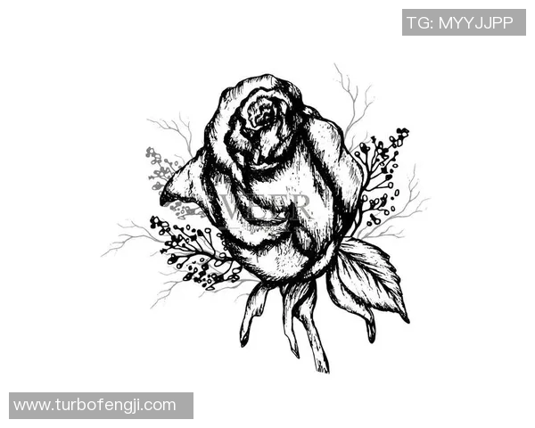 素描足球的艺术魅力与技巧探讨让我们一起领略球场上的线条之美 素描足球的艺术魅力与技巧探讨让我们一起领略球场上的线条之美