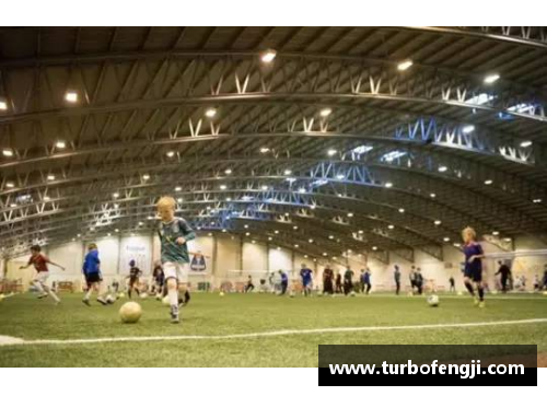 冰岛足球：北极之光闪耀球场